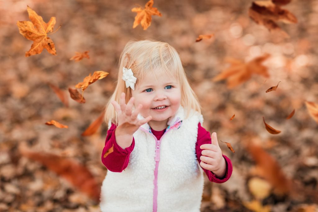 2019 Fall Mini Sessions - That's A Wrap