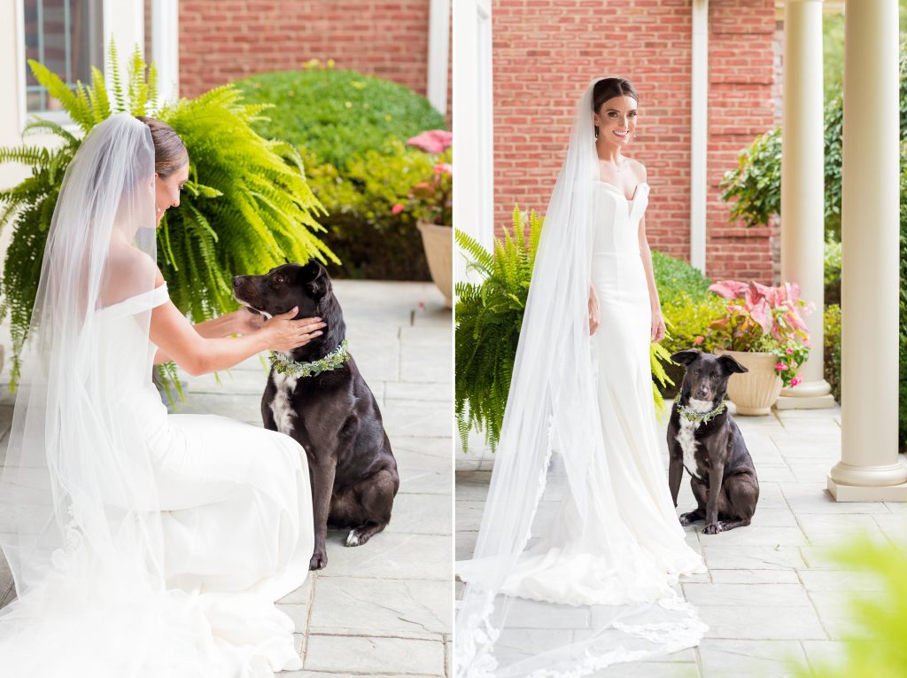 Ashley + Patrick - Drees Pavilion Wedding