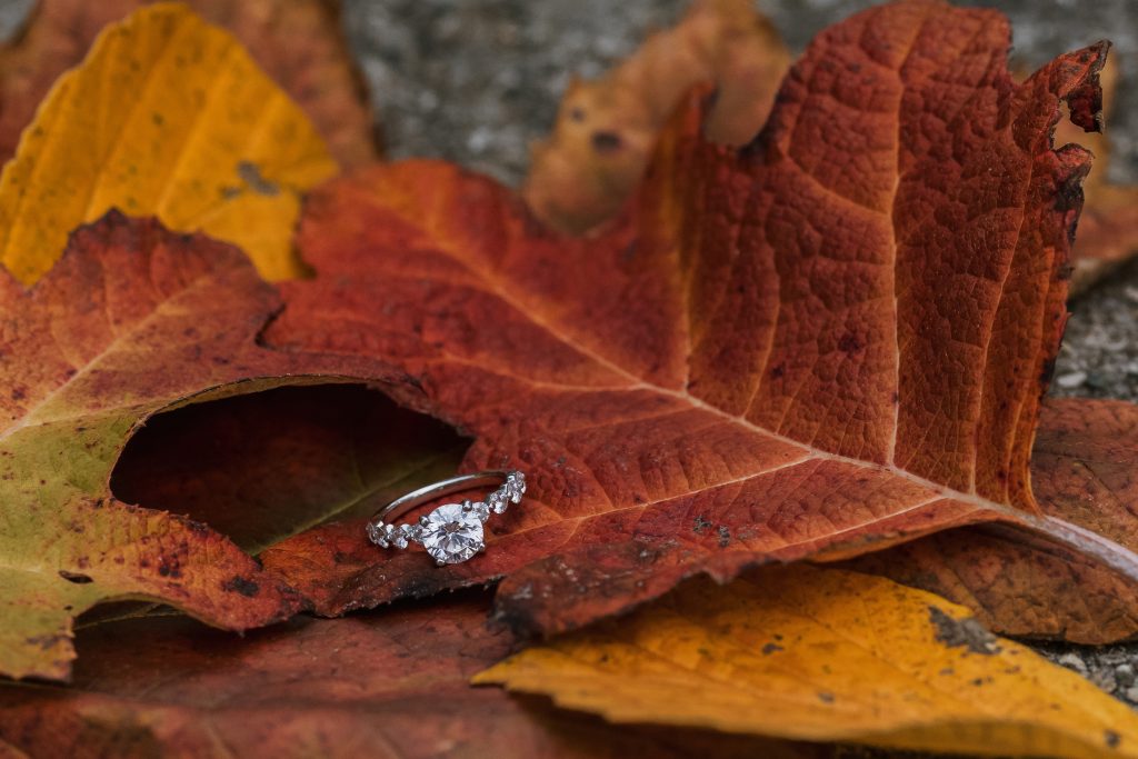 Bridgette + Jacob - Ault Park Engagement